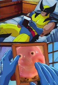 Wolverine encounter