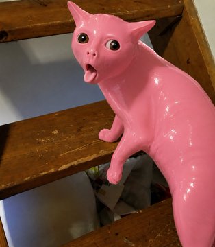 Feline mutation II